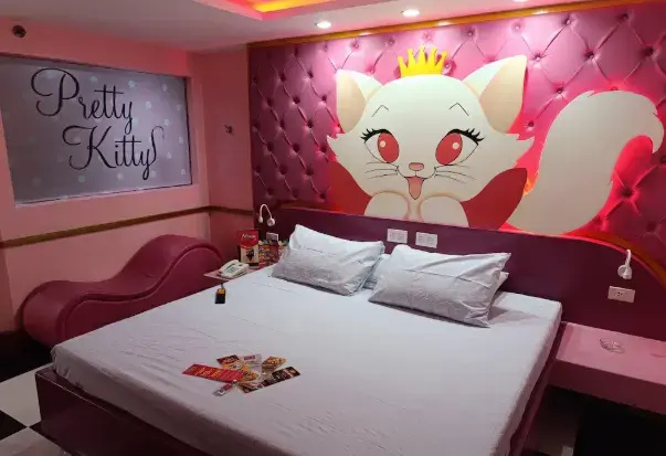 Themed Double room (full double bed)