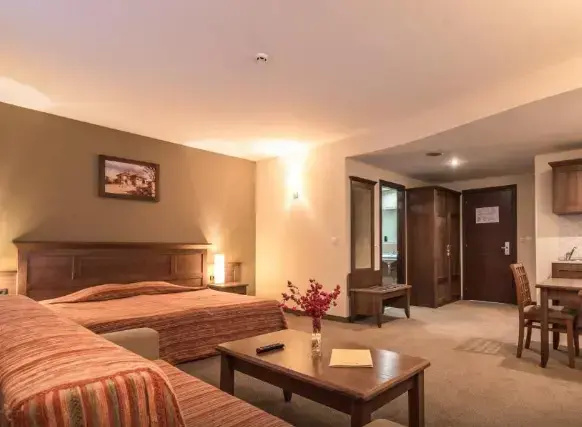 Lion Bansko - Chambres