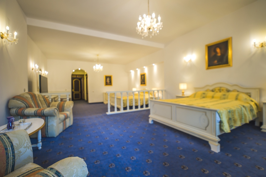 Hotel Aurelius Imparatul Romanilor - Chambres