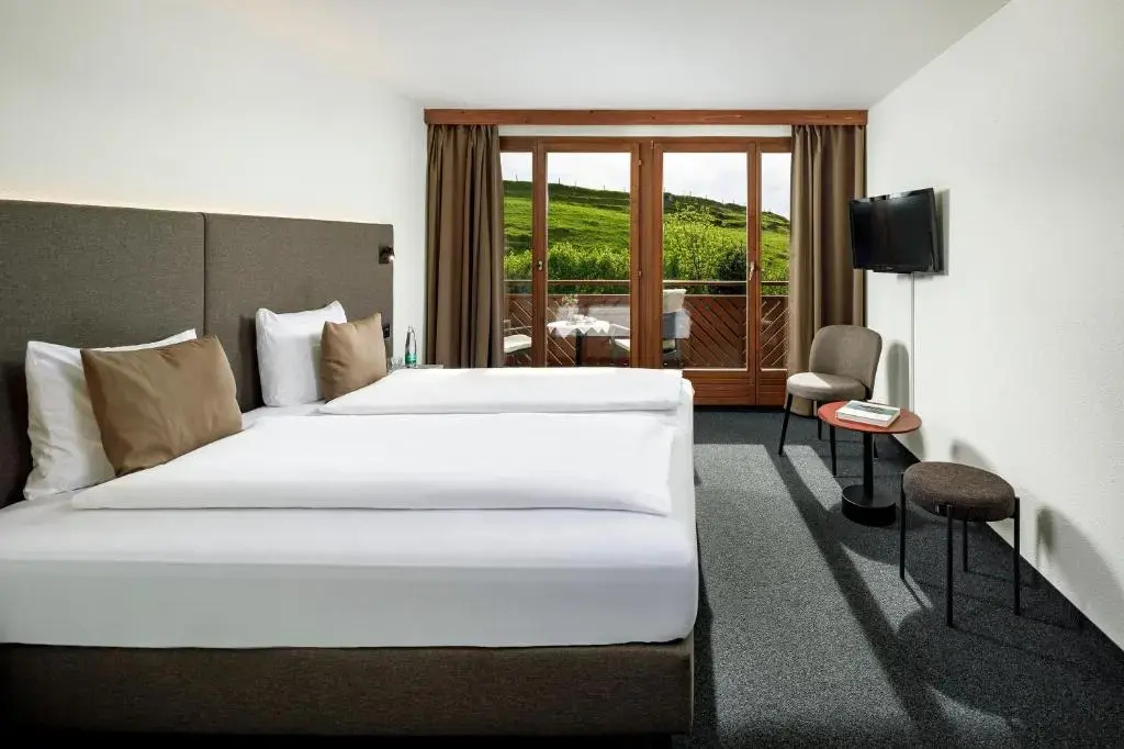 Double room with mountain view (full double bed)