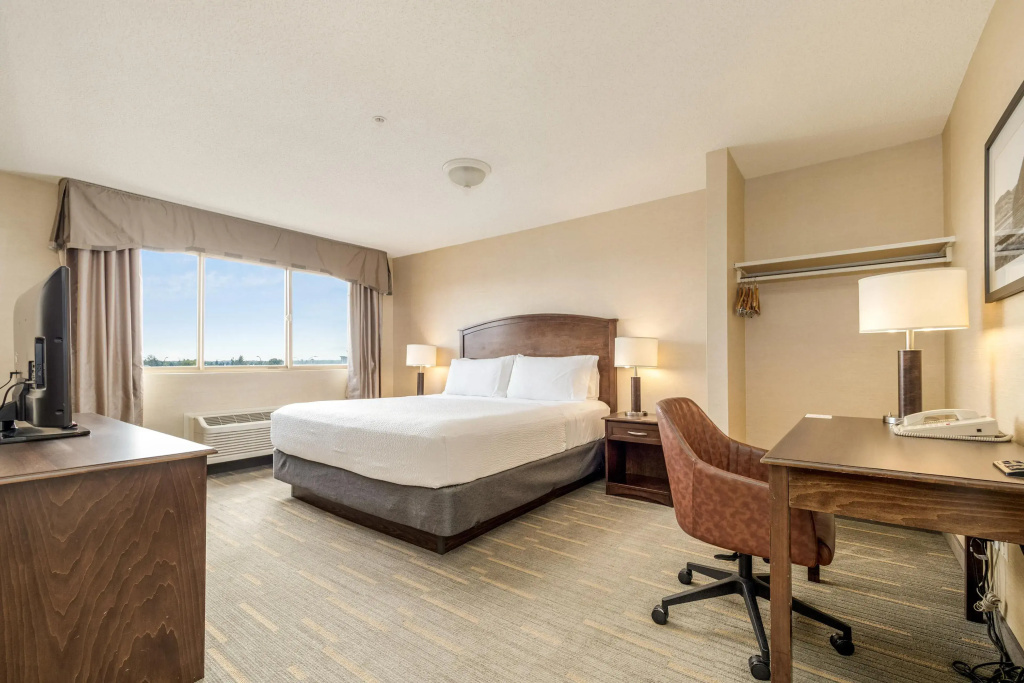 1 Bedroom Suite