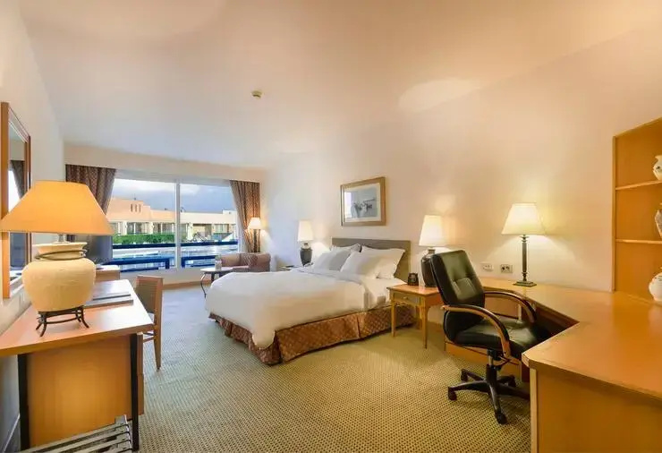 Hilton Alexandria Green Plaza - Chambres