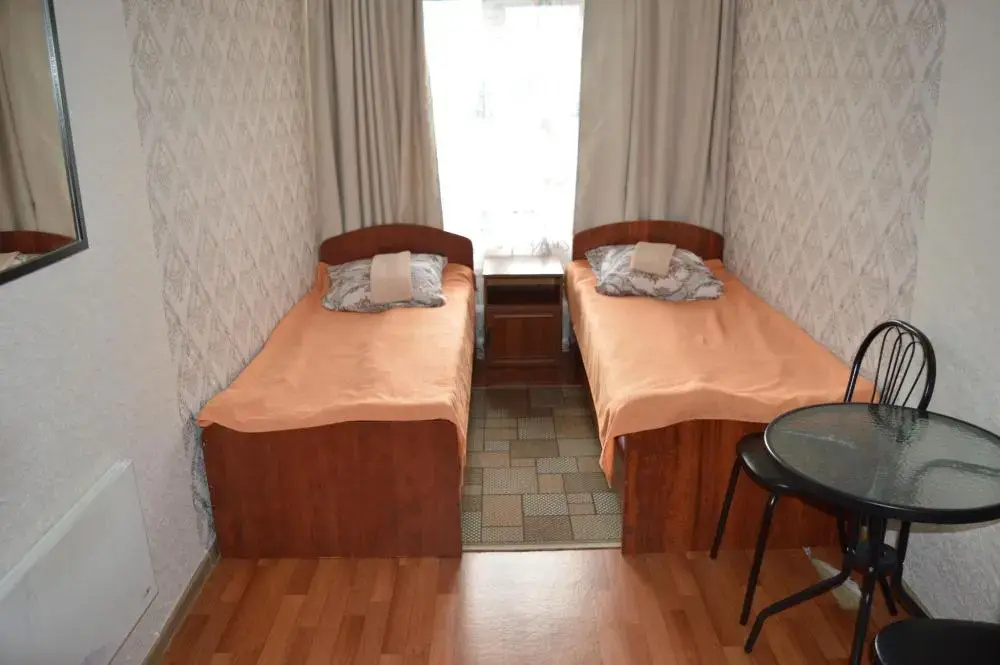 Economy Double room (twin beds)