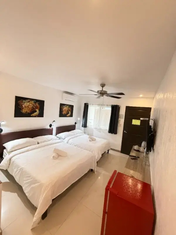 Calypso Beach & Dive Resort - Chambres