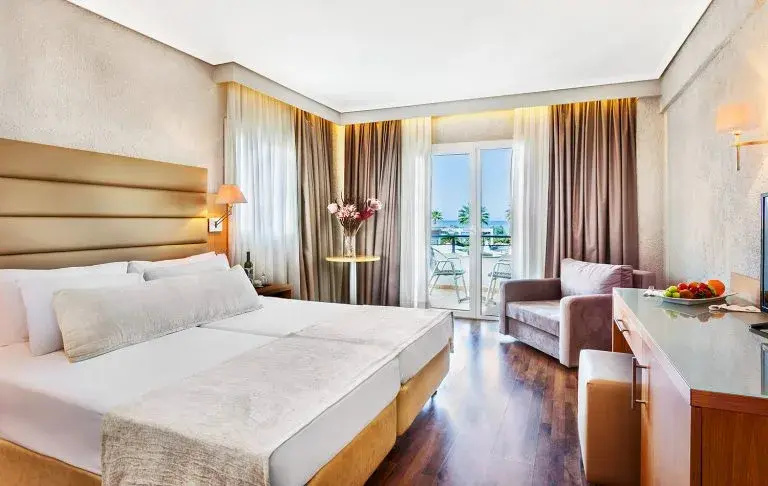 Standard Double room (full double bed)
