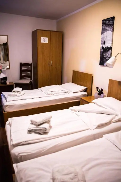 Standard Triple room with city view