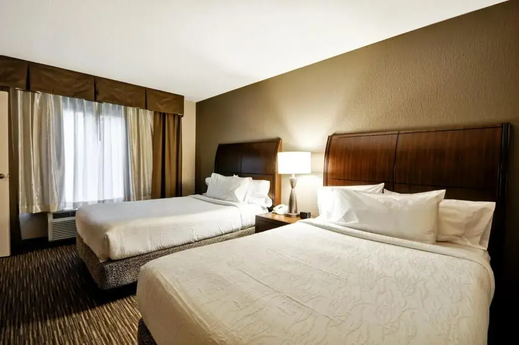 Hilton Garden Inn Tampa North Busch Gardens - Chambres