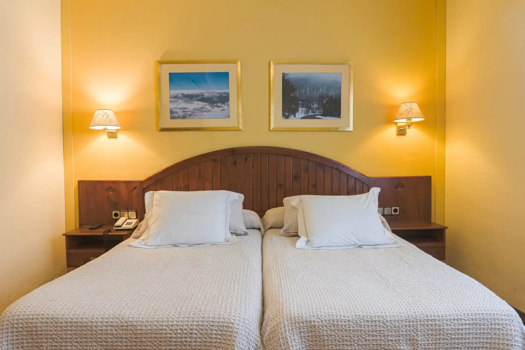 Standard Double room (twin beds)