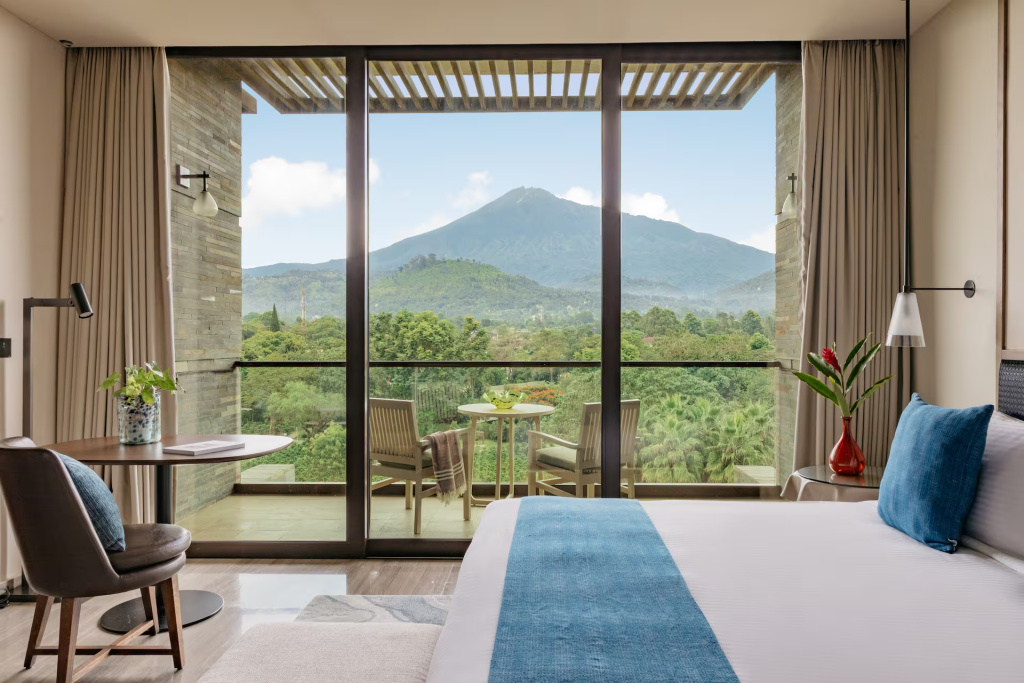 Deluxe RedLevel Double room with Mount Meru View (full double bed)