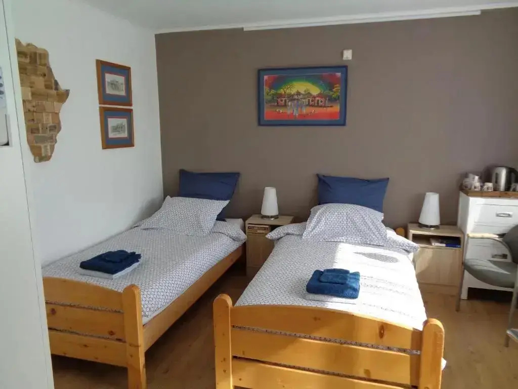 Standard Double room (twin beds)