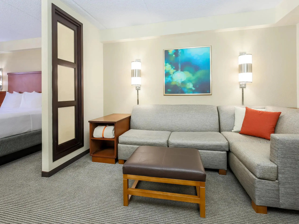 Hyatt Place Dallas/Grapevine - Chambres