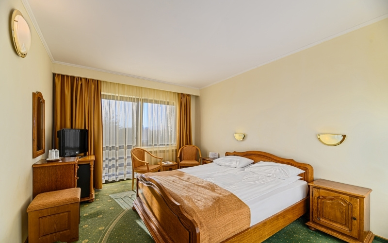 Hotel Casa Viorel - Chambres