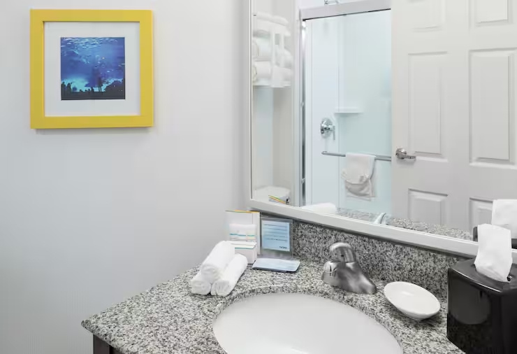 Hampton Inn & Suites Atlanta-Downtown - Chambres