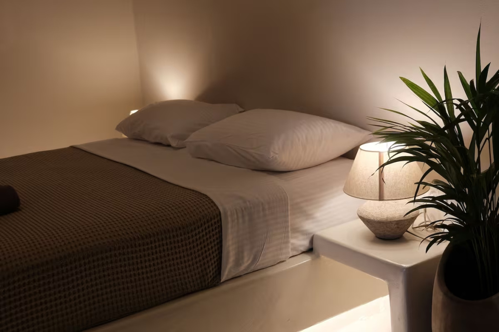 Deluxe Double room (full double bed)
