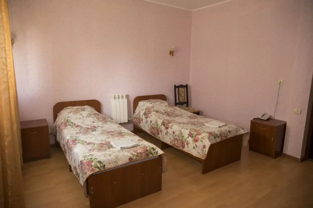 Economy Double room (twin beds)