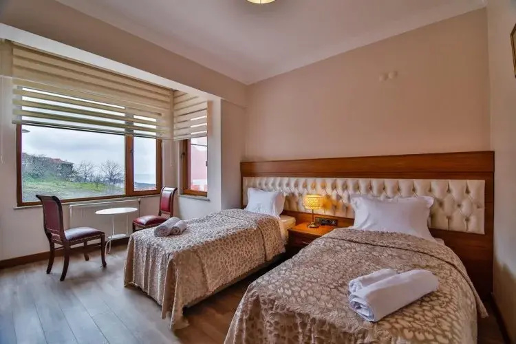 Standard Double room (twin beds)