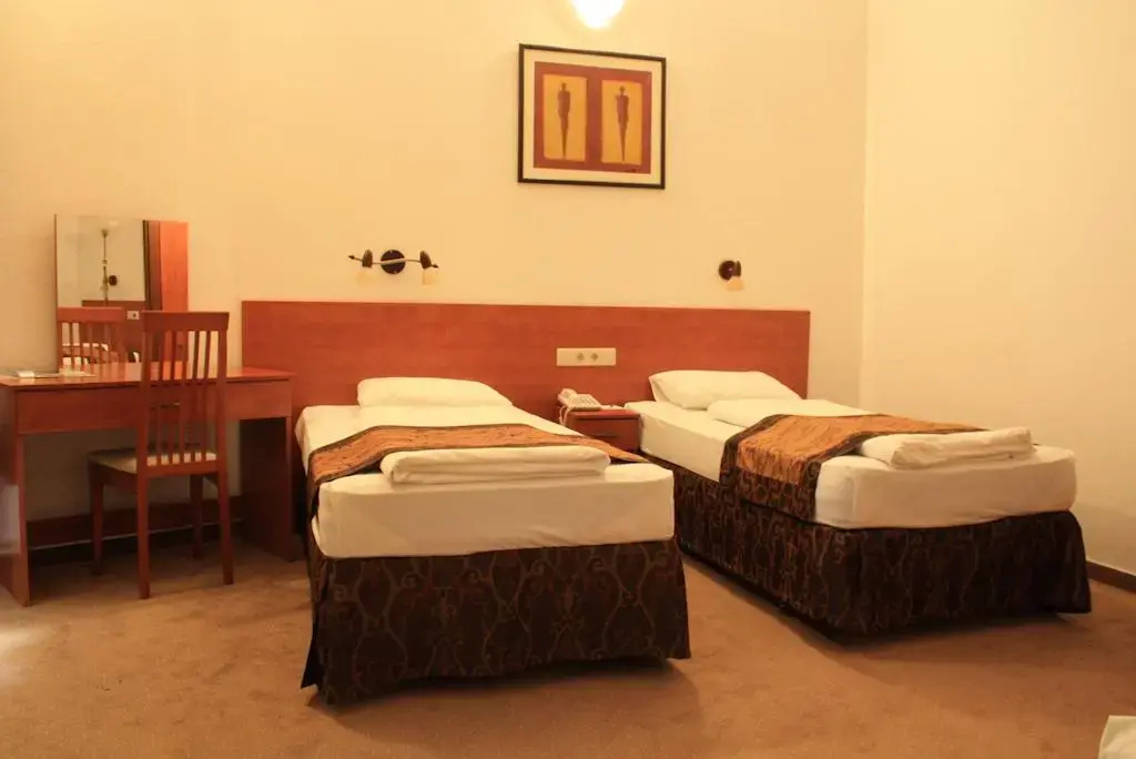 Standard Double room (twin beds)