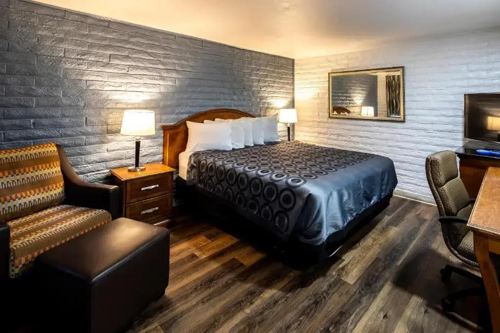 Double Studio (full double bed)