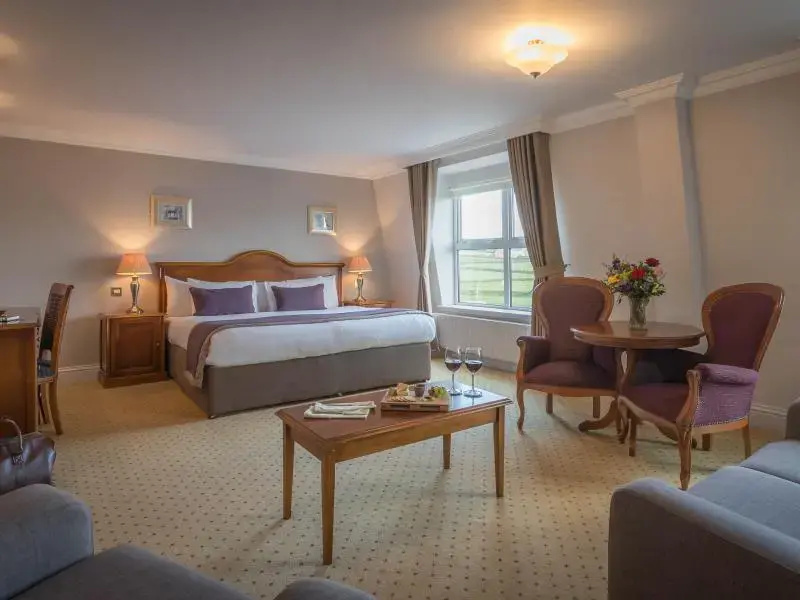 Executive Double Suite (full double bed)
