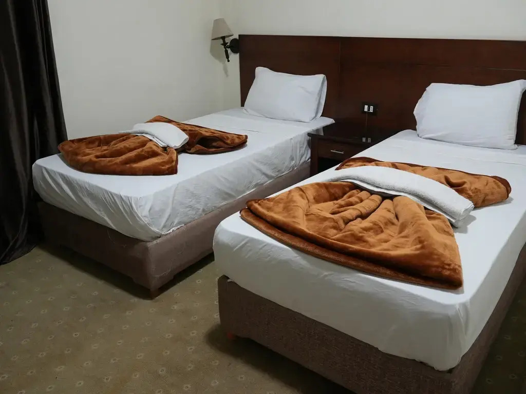 Двухместный номер Deluxe 2 отдельные кровати в Montana Hotel