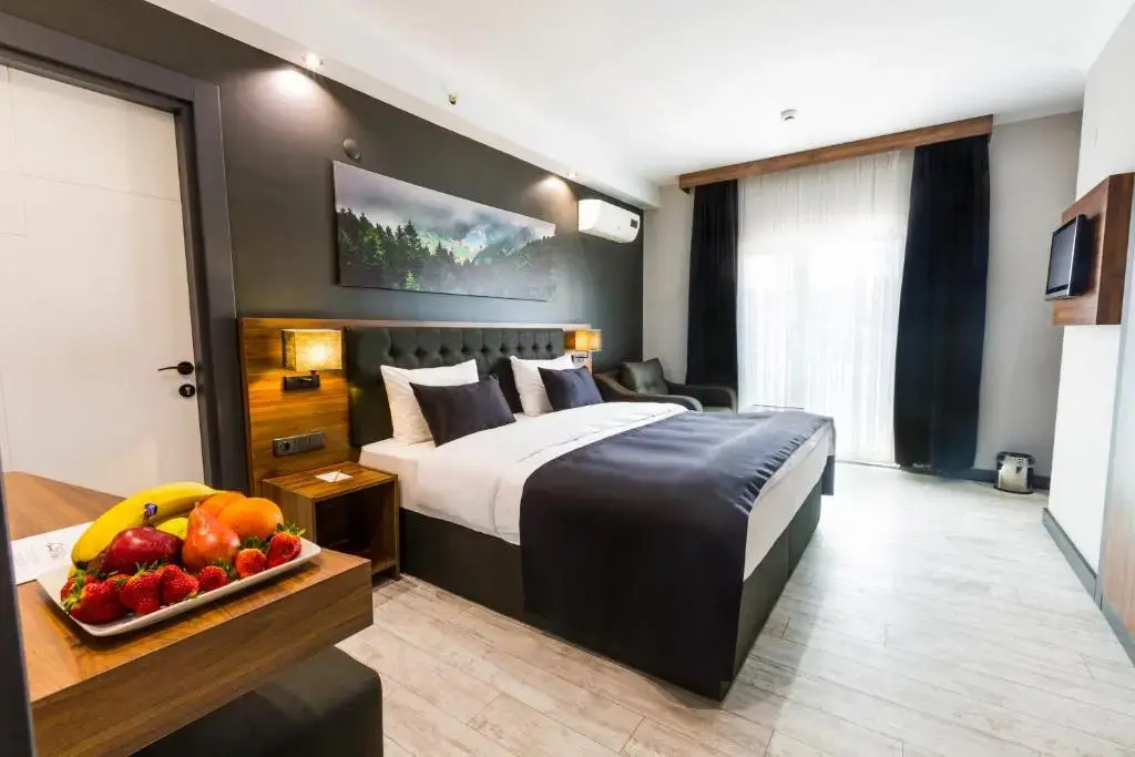 Standard Double room with city view (full double bed)