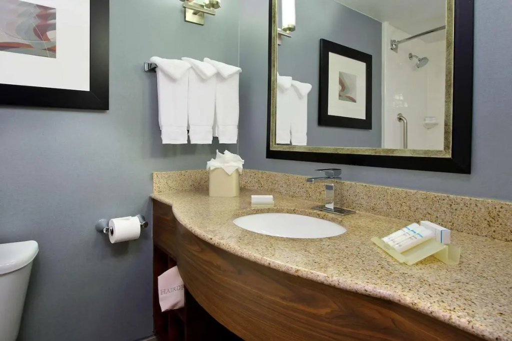Hilton Garden Inn Austin NW - Arboretum - Chambres