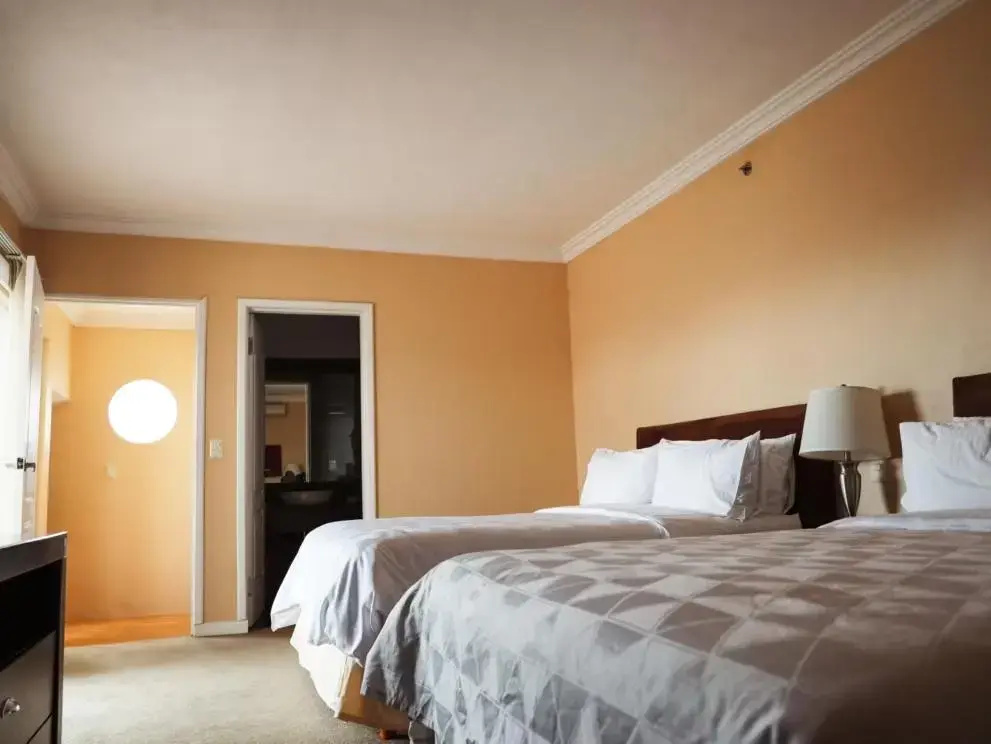 2 Bedrooms Sextuple Suite