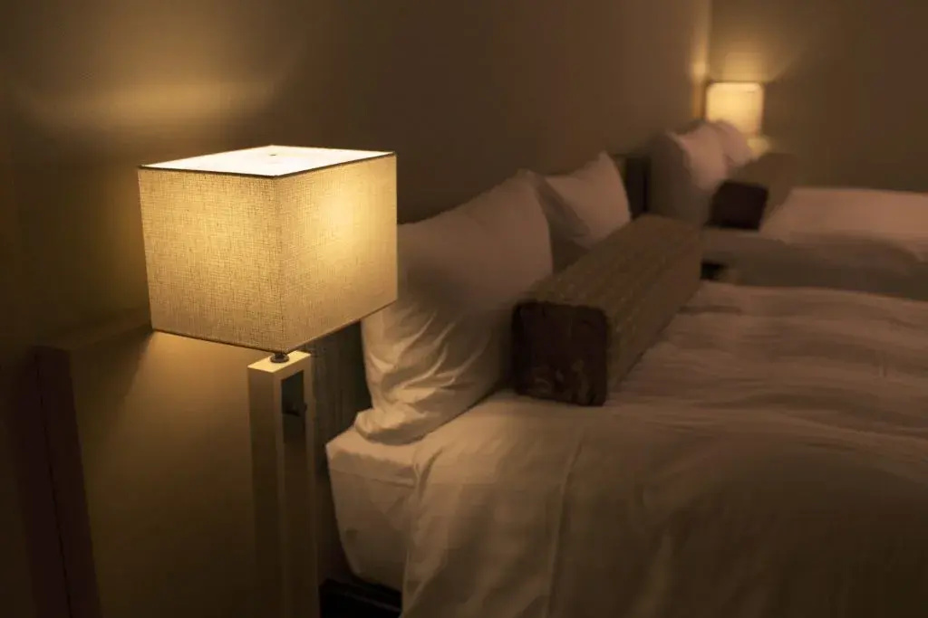 Nippondaira Hotel - Chambres