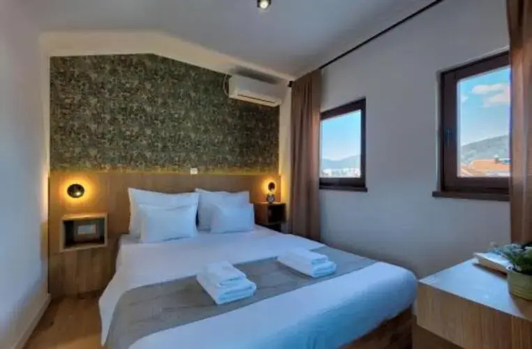 Terrace Double room with mountain view (full double bed)