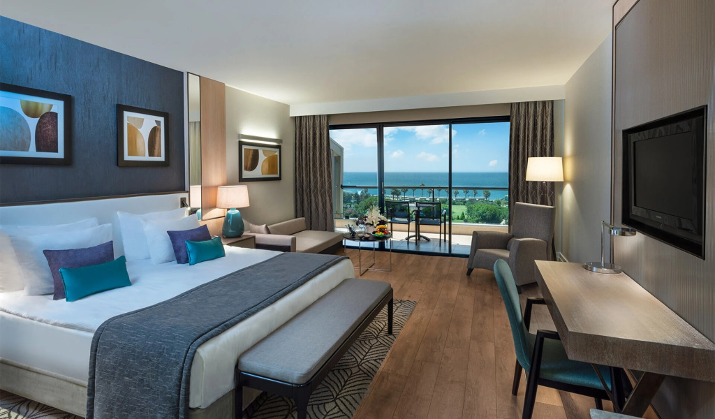 Deluxe Double room (full double bed)