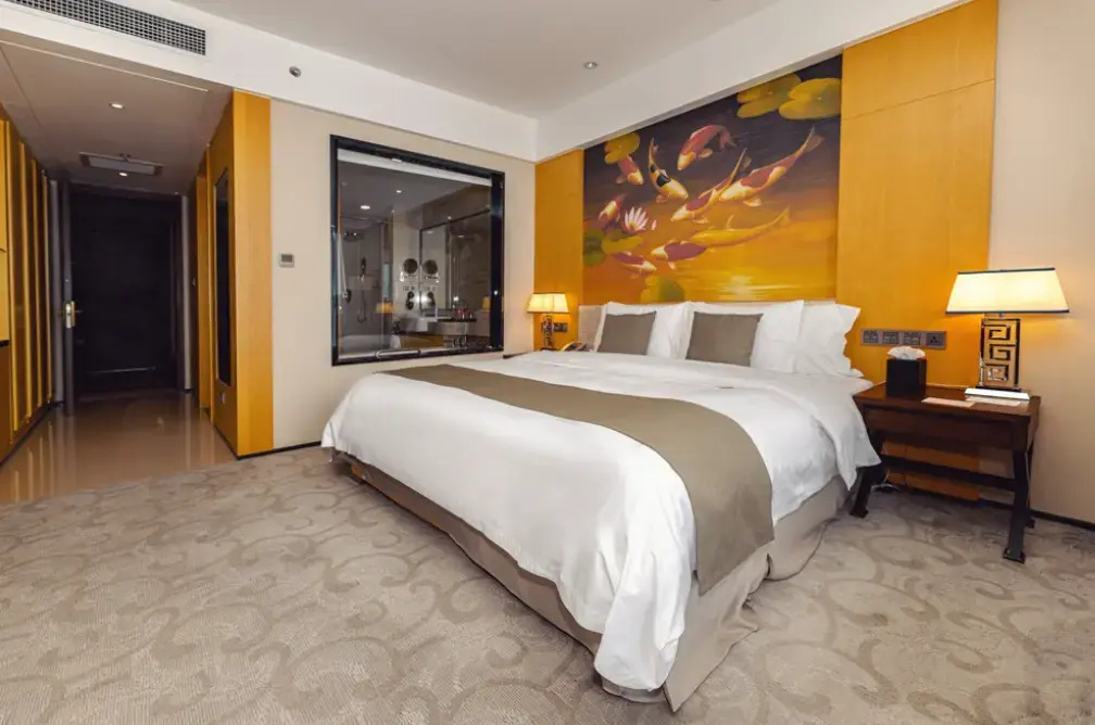 Hotels & Preference Hualing Tbilisi - Chambres