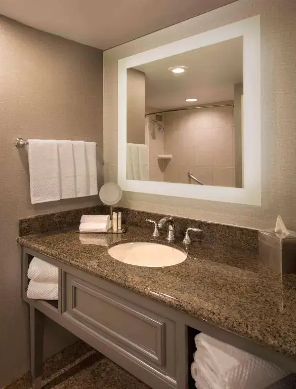 DoubleTree by Hilton Austin - Chambres