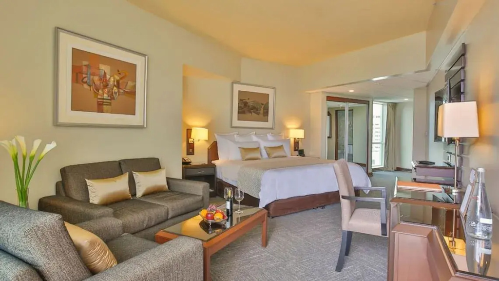 Double Junior Suite (full double bed)