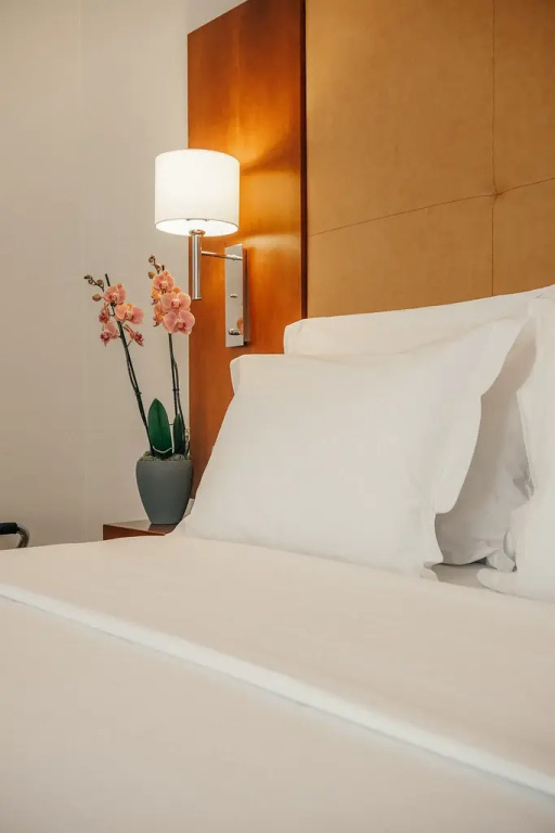 Dom Carlos Liberty Hotel - Général