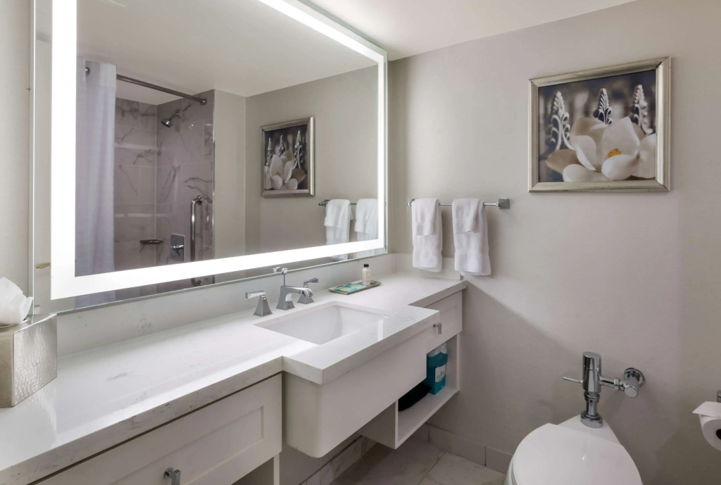 The Royal Sonesta New Orleans - Chambres