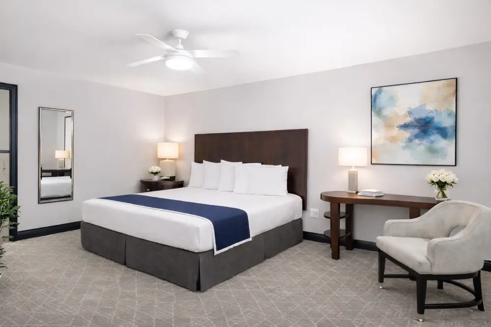 Double Junior Suite (full double bed)
