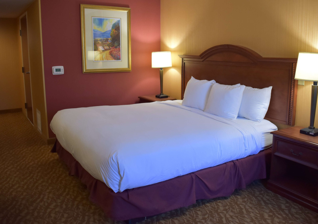 DoubleTree by Hilton Asheville - Biltmore - Chambres