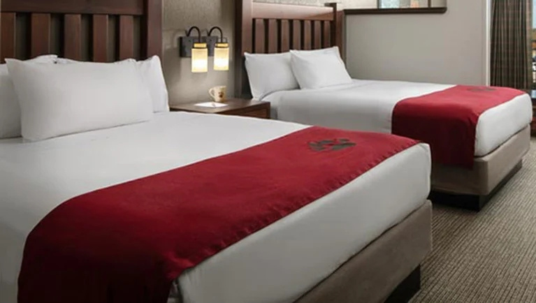 Brown Bear Suite