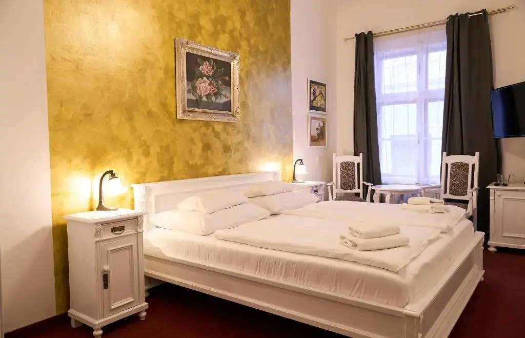 Hotel U Zlateho Jelena - Général