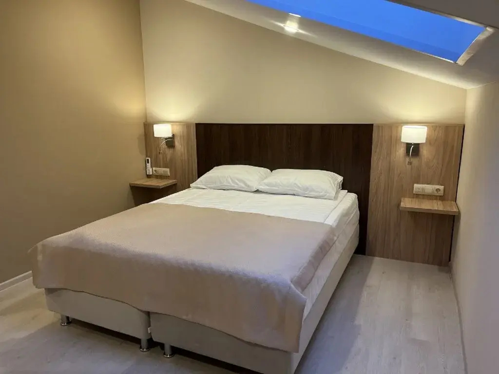 Aleksandrovskiy Hotel Room Type - 2 Bedrooms Family Attic room