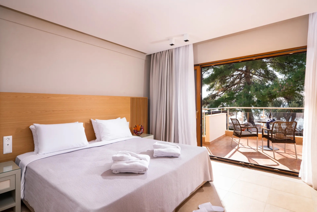 Deluxe Double Junior Suite with garden view (twin beds)