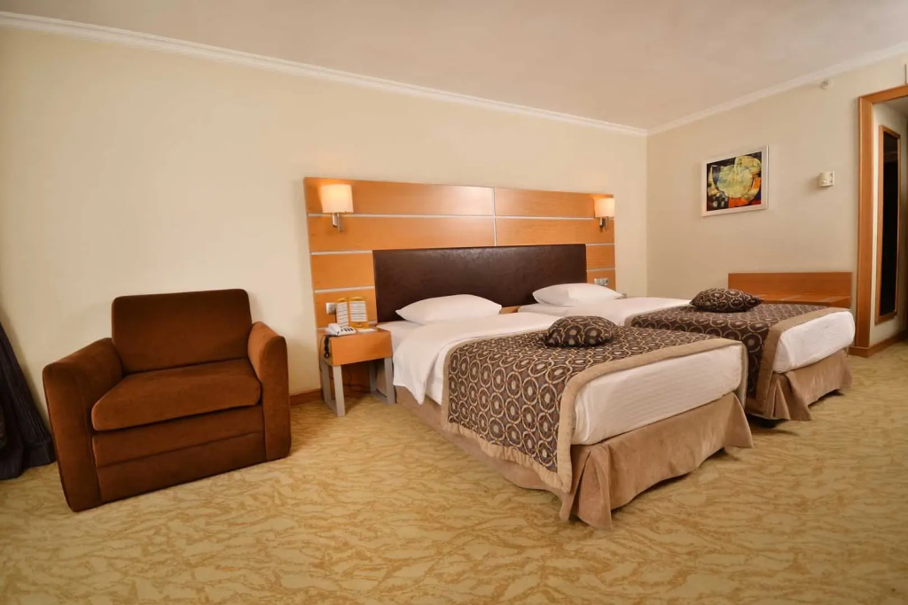Ankara Plaza Hotel - Chambres