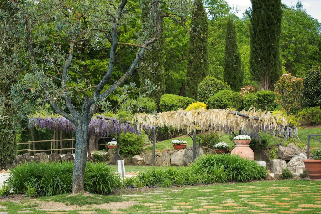 Hotel Osteria Dell Orcia - Général