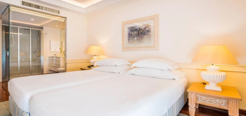 Superior Deluxe Double room with balcony (twin beds)