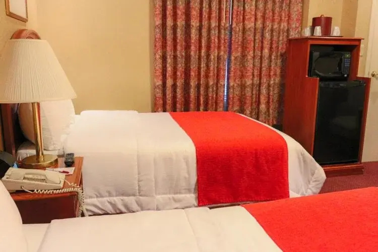 Hotel Newton - Chambres
