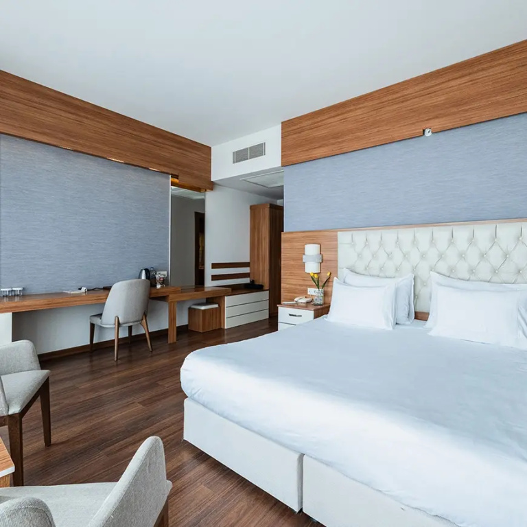 Standard Double room with Bosphorus view (full double bed)