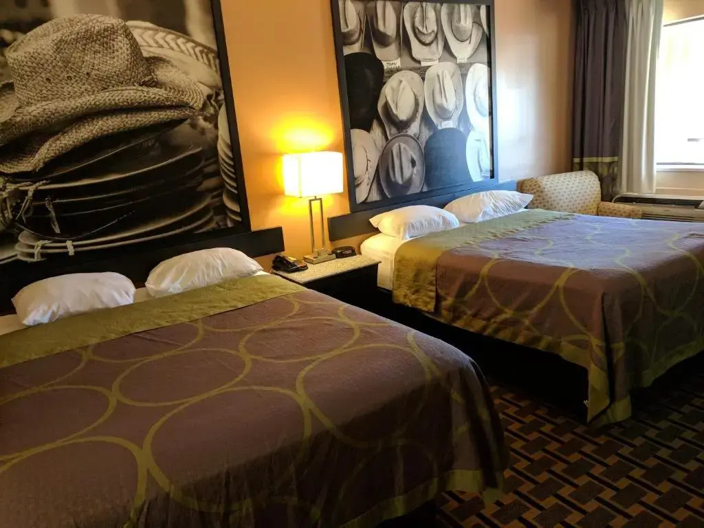 Platinum Inn & Suites Willowbrook Houston - Chambres