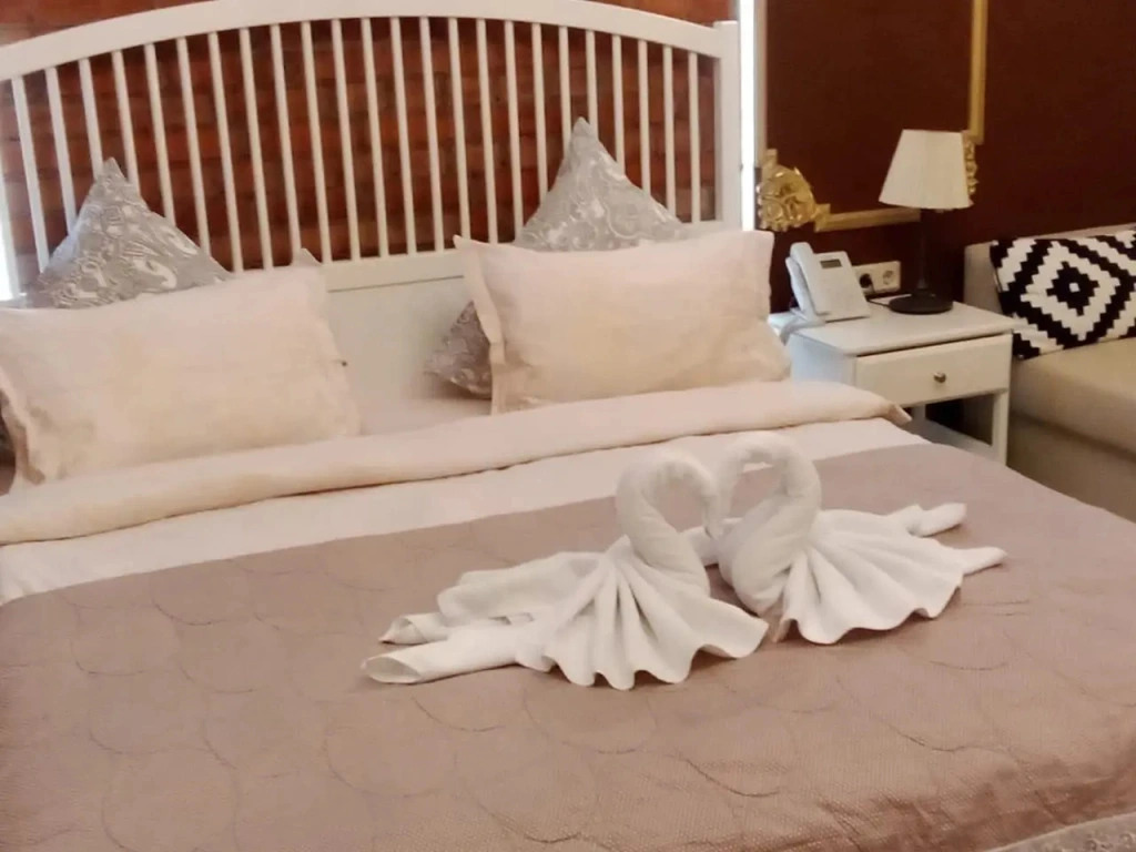 Полулюкс Superior в Дом Паткуль