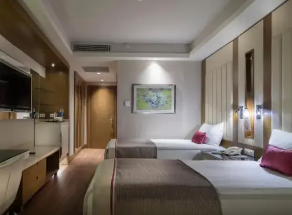 Superior Double room with sea view (twin beds)