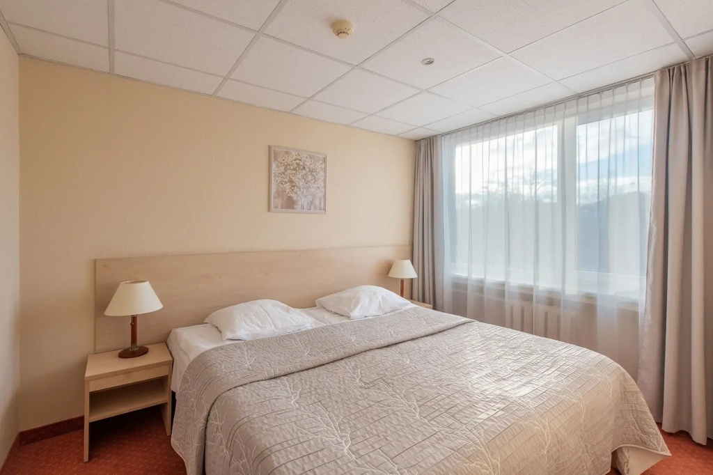 Deluxe Double room (full double bed)